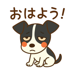 Lots of Japanese terriers