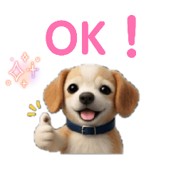 rikio_20260313140800