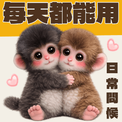 每天都能用的小猴子問候