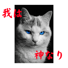 youta_20260316104627