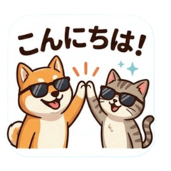 dog and cat with sun glass