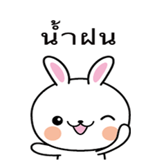 Rabbit Sticker 177