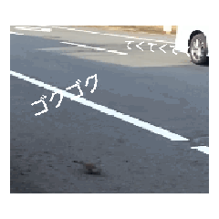 akarin_20260316172216