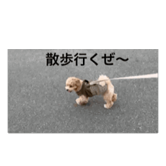 koumame_20260316194502