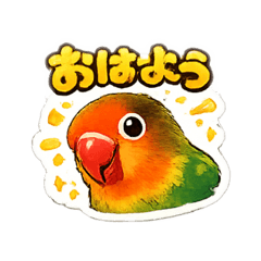 Darushi_20260316181532