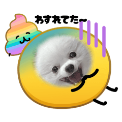 m.mam_20260316211813