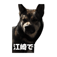 Hachi-Stamp