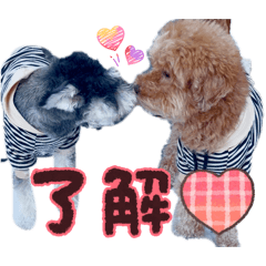 miraichan_20260316124348