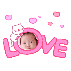 puyu_20260316180451
