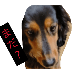 y.tkg_20260316201532