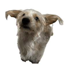 Yeoung_20260316213012