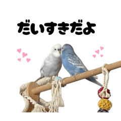 sorao_20260316212632