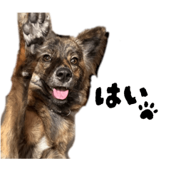 Miichun_20260316213044