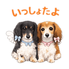 Gentle Days with Luke & Shelly