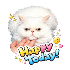 Fluffy Cute Kitty V.3