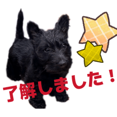 Hello! Kuro-inu-Kun!2