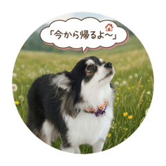 KOHEI_20260316151906