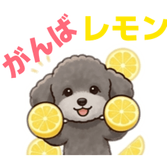 harun_20260316152601