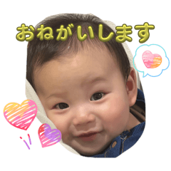 shiho_20260316183642