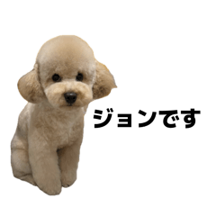John_20260316233720
