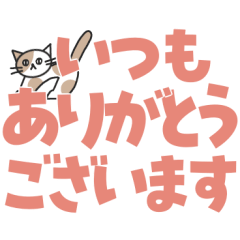 Big & Bold Polite Cat Replies