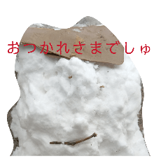 poteto_20260316155845