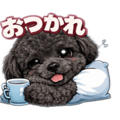 Miya_20260316144421