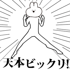 Rabbit Name amamoto.moves!