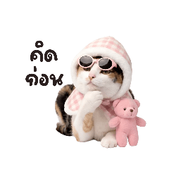 aomam_20260316155916