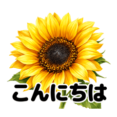 yokko_20260316210825