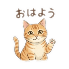 takahashi_20260316220824