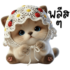 แมวน้อยวิเชียรมาศ น่ารักนะ