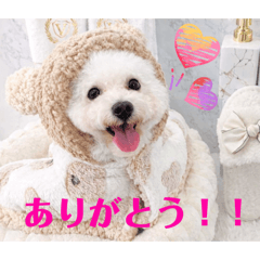 Jenny_20260317003650