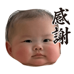 GOMAO_20260317101352