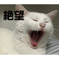 reirei_20260317103151