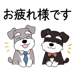 Working Schnauzer Stickers
