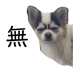 KIRIMARU_20260316185409
