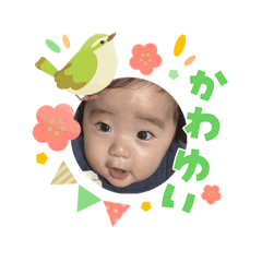 stamps_20260317014942