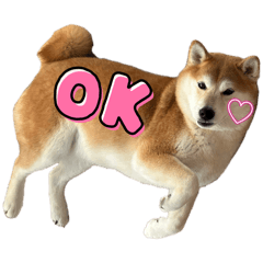 rinrinrin_20260317015823