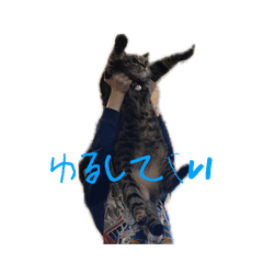 1xaeole_20260316192145