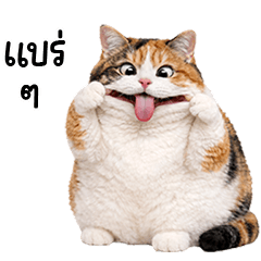 Very Fat Calico cat [TW]