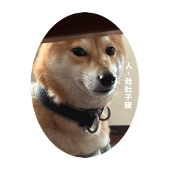 柴明星的私生活（二）