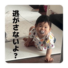 Taisei_20260317113018