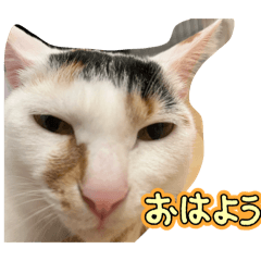 Shi-chan_20260316204011