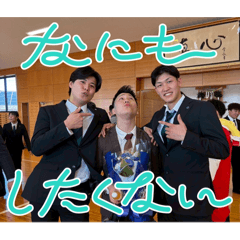 yrk_20260316204959