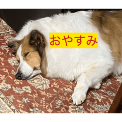 ishiayu51_20260316215117