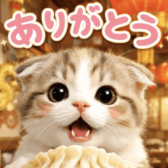 飛び出す♡グルメにゃんこ