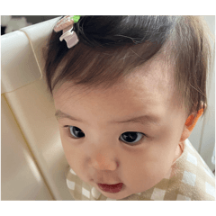 yuzu_20260317114929