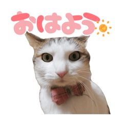 yurika_20260317115450