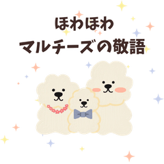 Polite & Cloud-like Maltese411